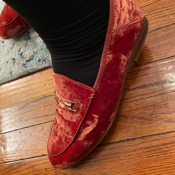 Steve Madden Shoes - Steve Madden burnt orange suede loafers with gold buckle detail